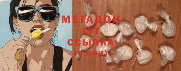 прущие грибы Новозыбков