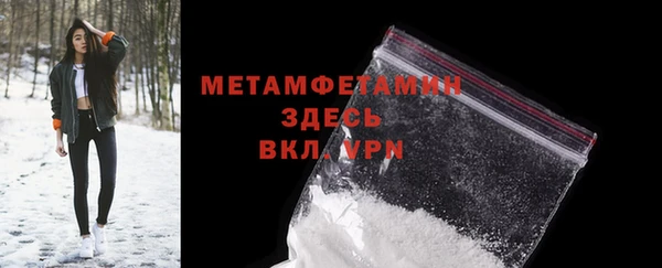 сатива Осинники