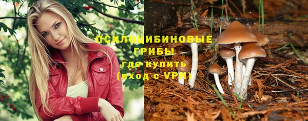mdpv Новодвинск