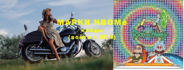 прущие грибы Новозыбков