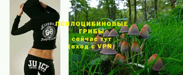 синтетический гашиш Няндома