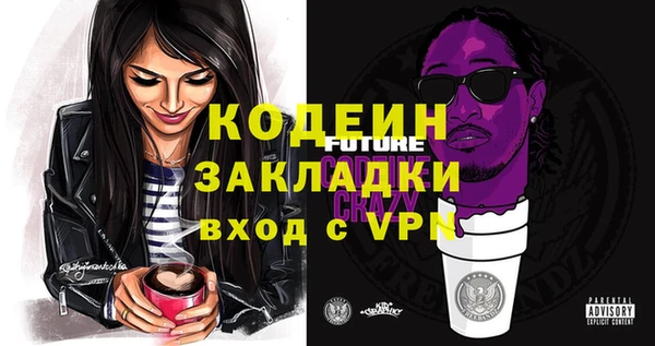 прущие грибы Новозыбков