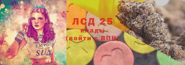 mdpv Новодвинск
