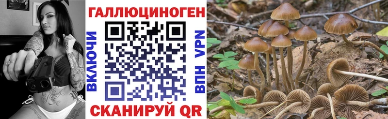купить  сайты  Миллерово  Псилоцибиновые грибы мицелий 