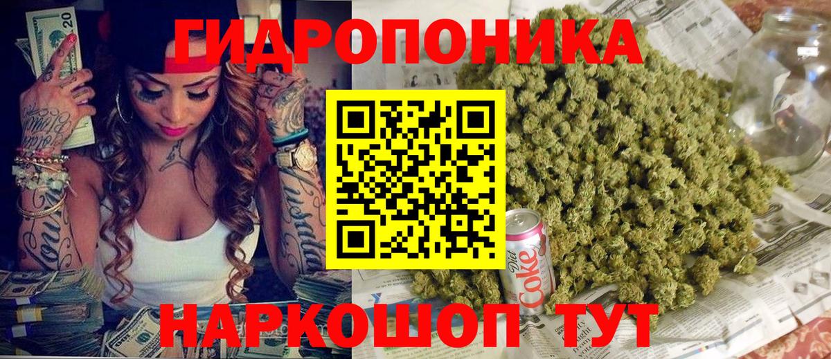 Марихуана план  Бошки марихуана семена  Миллерово  Вход с VPN  Шишки марихуана сатива 